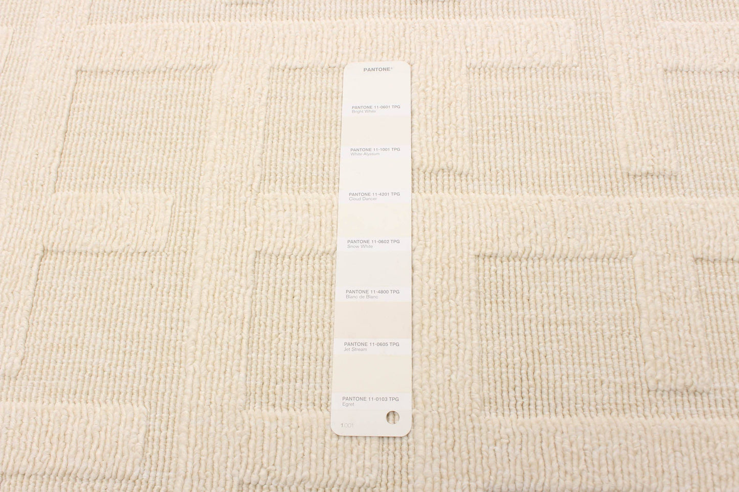 Villa Ivory Area Rug
